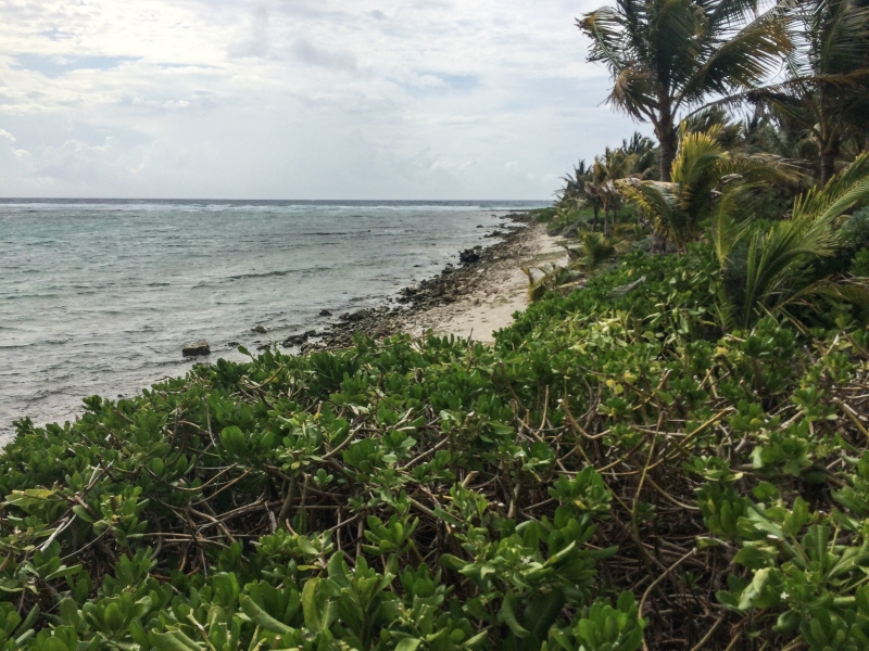 May and June 2014 093.jpg - more Palladium shoreline